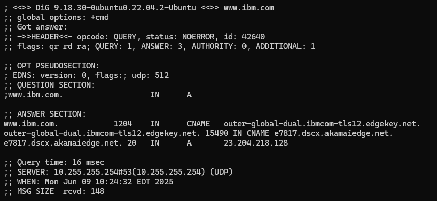 その他 Visitors (Dig) Use dig for footprinting Look up easily any IP address.